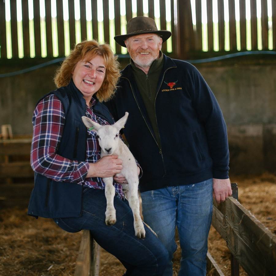 sheep farm tour scotland