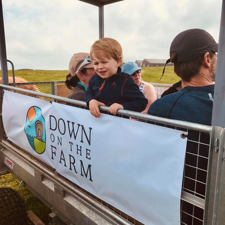 sheep farm tour scotland