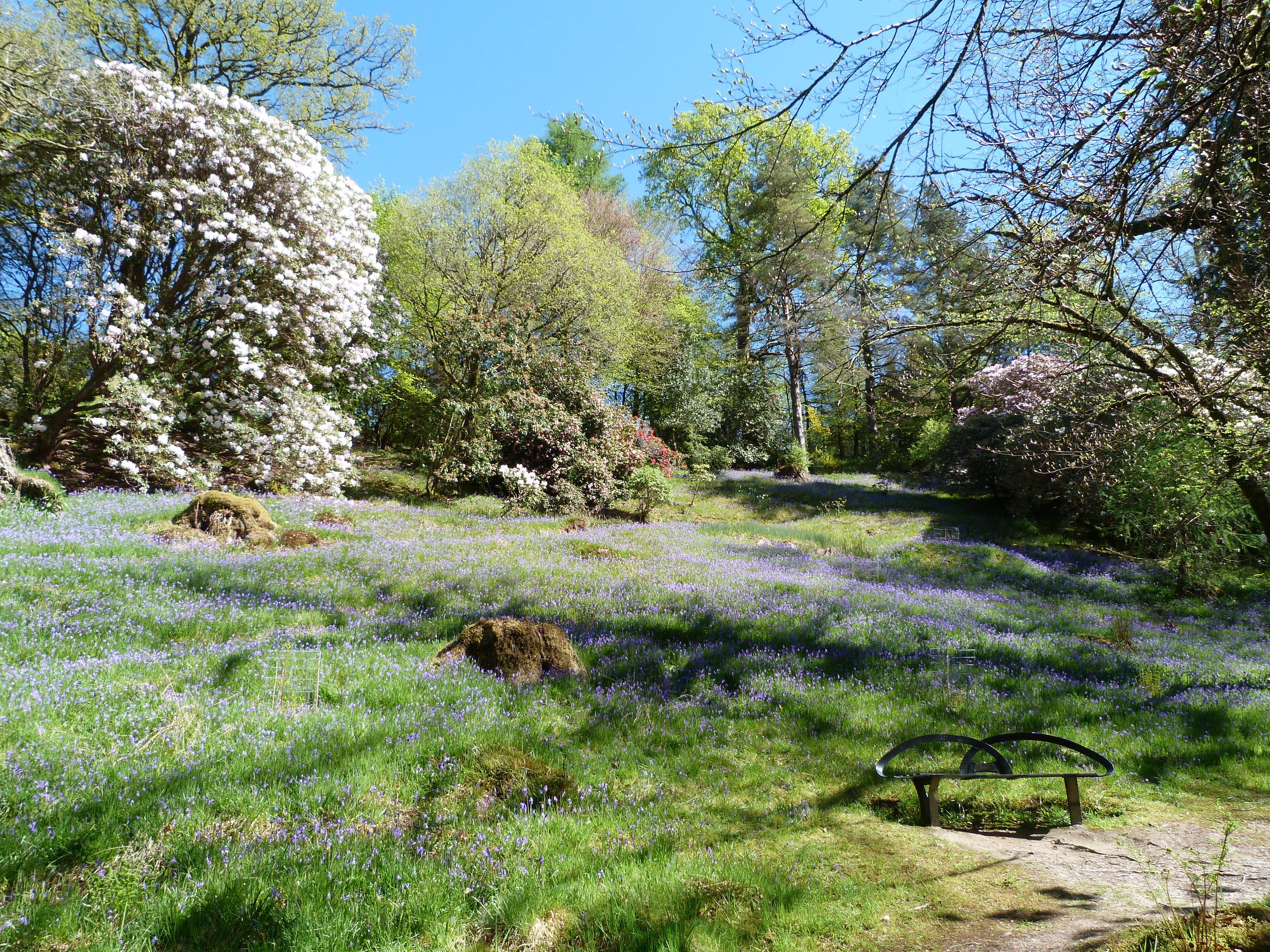 ardkinglas-woodland-garden-gruffalo-trail-fasci-garden