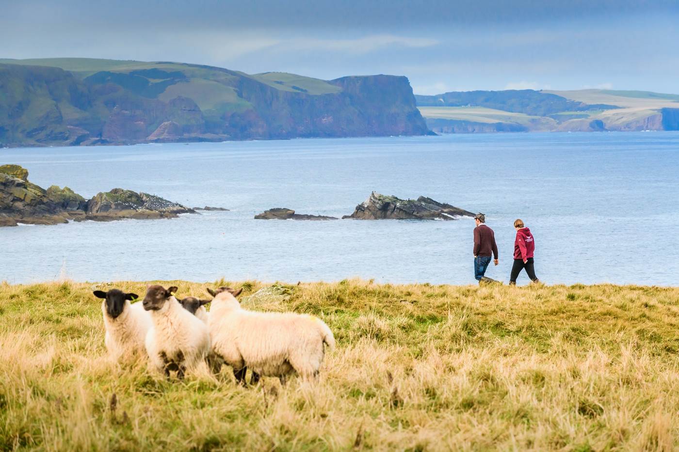 7 of the best farm tour experiences on Scotland’s sheep farms | Go ...