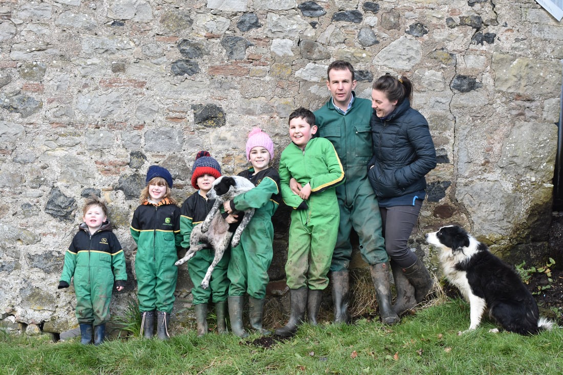 sheep farm tour scotland